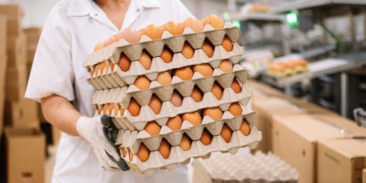 El precio del huevo sigue bajando: esto vale una cubeta esta semana en Corabastos