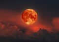 Eclipse Lunar Total: Imágenes impactantes del fenómeno que no se repetirá en 23 años