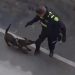 “Justicia para Tigre”: separan de su cargo al policía que disparó y mató a un perro durante un operativo en Rionegro.