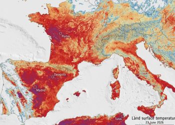 La intensa ola de calor golpea a Europa: más de 130 millones de personas soportan temperaturas que superan los 35 °C