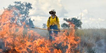 Sospechas de incendios provocados y efectos de El Niño: las claves de la emergencia forestal en Colombia