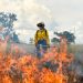 Sospechas de incendios provocados y efectos de El Niño: las claves de la emergencia forestal en Colombia