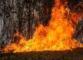 Incendios golpean al Tolima: 24 conflagraciones afectan 13 municipios y dejan 20.000 hectáreas comprometidas