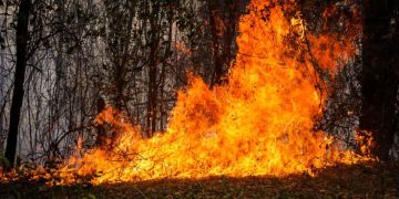 Incendios golpean al Tolima: 24 conflagraciones afectan 13 municipios y dejan 20.000 hectáreas comprometidas