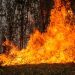 Incendios golpean al Tolima: 24 conflagraciones afectan 13 municipios y dejan 20.000 hectáreas comprometidas