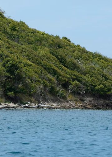 Alerta en Providencia y Santa Catalina: importante zona natural y turística permanecerá cerrada hasta el 17 de diciembre de 2026 por esta razón