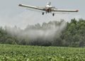 Un general ambientalista estará al frente de la fumigación de cultivos de coca cuando la justicia autorice el proceso