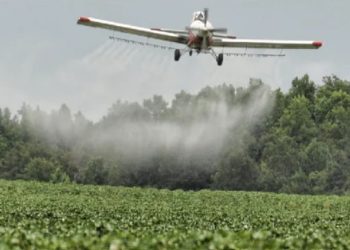 Un general ambientalista estará al frente de la fumigación de cultivos de coca cuando la justicia autorice el proceso