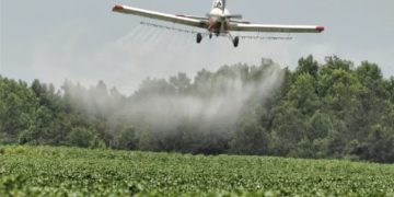 Un general ambientalista estará al frente de la fumigación de cultivos de coca cuando la justicia autorice el proceso