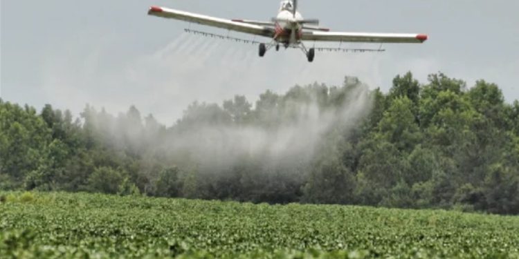 Un general ambientalista estará al frente de la fumigación de cultivos de coca cuando la justicia autorice el proceso