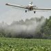 Un general ambientalista estará al frente de la fumigación de cultivos de coca cuando la justicia autorice el proceso